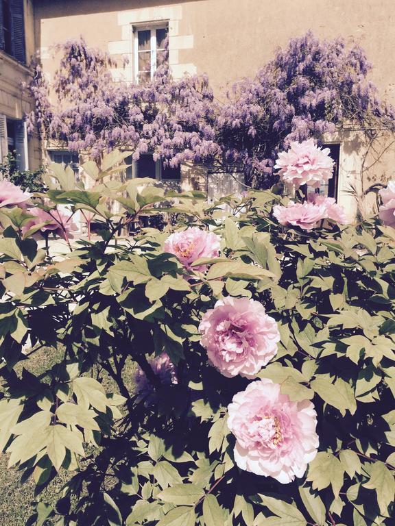 Bed & Breakfast La Grande Maison Pas-de-Jeu